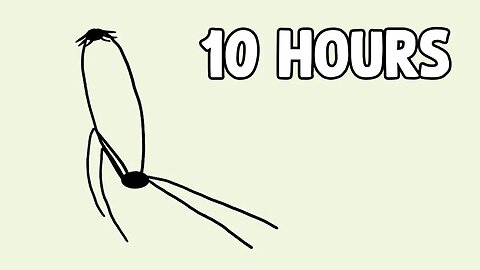 Spider throws it's baby [10 HOURS]