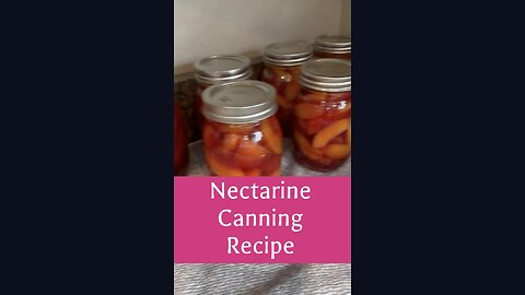 CANNING RECIPE! Nectarines with a Dash of Blueberries and Ginger