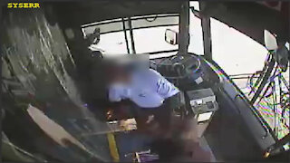 Caught on camera: Broward County bus driver punched in face