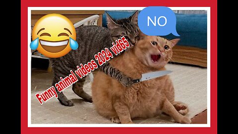 🤣🤣🤣🤣🤣 Funniest cute videos of animals 😆 🤣 😄 😂