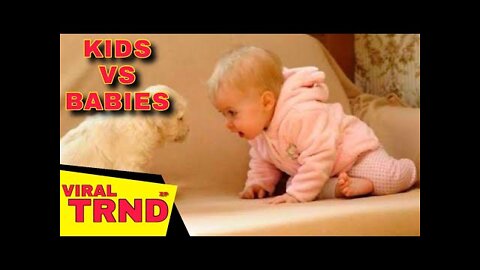 Cute dog & baby compilation Viral TRND Videos