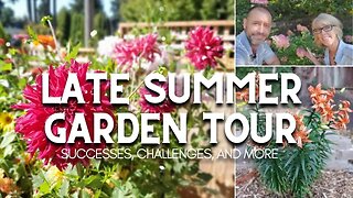 🌻 Late Summer Garden Tour 🌻