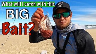 Some big fish CAUGHT AND SOME BIG FISH LOST! Autumn SHARK FISHING IN SOUTH AFRICA! PART. 2