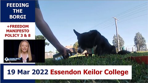 1:00pm 19 Mar 2022 - Feeding the Borgi (+ LibDem Policy 3 & 8): Essendon Keilor College, Essendon