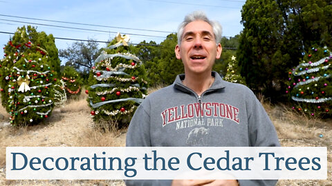 Discover Austin: Decorating the Cedar Trees- Episode 27