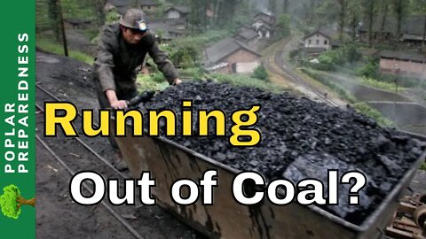 World's Largest Coal Exporter Bans Exports (Energy Crisis & Supply Chain Collapse)