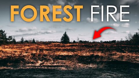 WHAT IF FOREST FIRE HAPPENS | FACTS ABOUT FOREST FIRE | WILD FIRE | NATURAL HAZARD