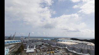 MASSIVE Fukushima Update For March 2021 (10 Years In) – THE CORRECT VIEWS 03/10/2021