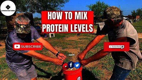 HOW TO PUSH your Gamefowl molt with Proper PROTEIN LEVELS