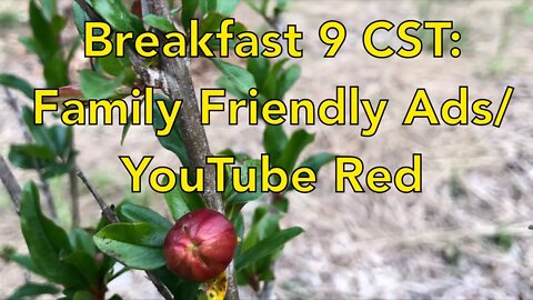 Breakfast 9 CST: Family Friendly Ads/ YouTube Red