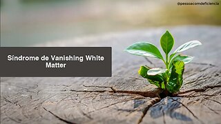 Síndrome de Vanishing White Matter (Leucoencefalopatia com substância branca que desaparece)