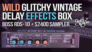 Boss RSD-10 + S2400 // Wild Glitchy Vintage Delay Effect Box & Crunchy Sampler