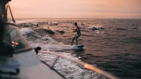 Pod Of Dolphins Join Wakeboarder Under Majestic Sunset In Epic Slow Motion