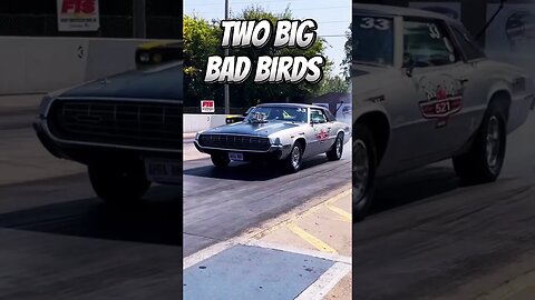 Burnouts By Two Big Bad Birds! #shorts