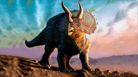Triceratops - Ancient Animal