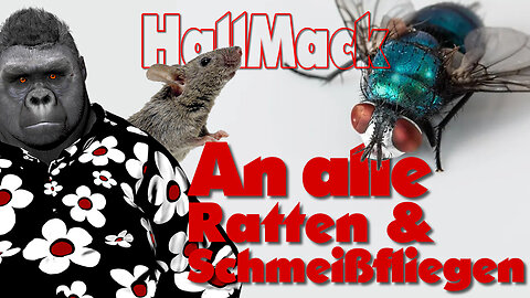 An alle Ratten und Schmeißfliegen