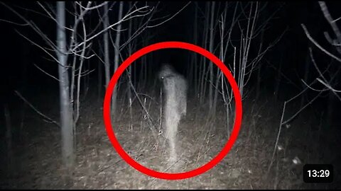 5 Scary Things Caught on Camera In the Woods