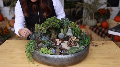 Succulent Treehouse Fairy Garden!