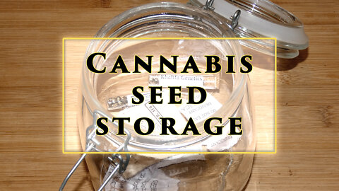 Best Ways To Preserve Your Cannabis Seeds - Khalifa Genetics