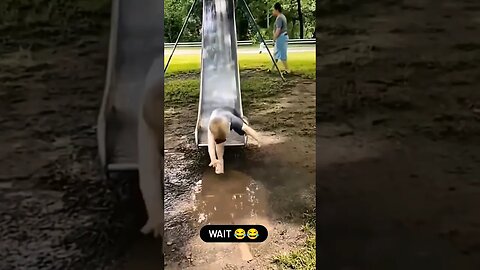 wait for slide 😂 #funny #goneviral #comedy #viral #youtubeshorts #funnyshorts #funnyclips