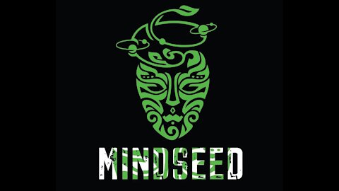 MINDSEED - Perception (Audio)