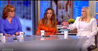 Meghan McCain destroyed on The View for saying she likes her guns