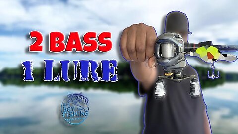 2 bass 1 lure