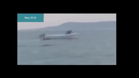 Incredible UFO sightings Alien Ship Captured On Cam Unknown creature Alien caught on cam