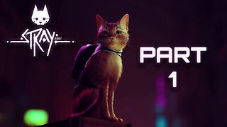 Stray Complete Full Gameplay Walkthrough Part 1