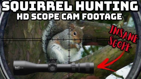 Squirrel Hunting (HD Scope Cam!)
