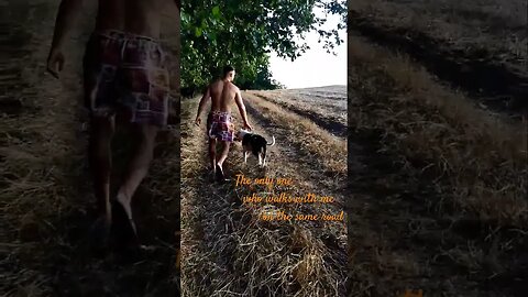 #myfriend #amstaff #amstafflove #shortvideo