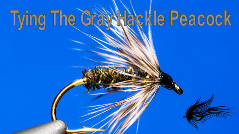 Tying The Gray Hackle Peacock - Dressed Irons