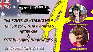 LIVE with JOANNE BREEZE ... THE POWER OF HEALING WITH THE JOEYS AND OTHER ANIMALS