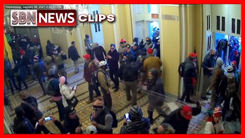 Newly Released US Capitol Surveillance Video Shows Jan. 6 Protest Inside Capitol - 4003