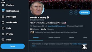 Power of social media on display after platforms ban President Trump