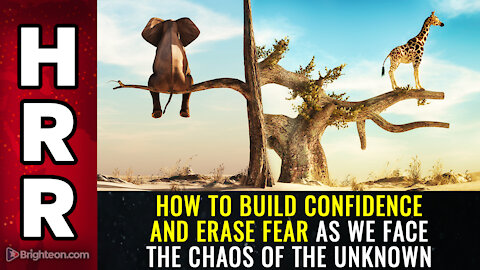 How to BUILD confidence and ERASE fear as we face the chaos of the unknown