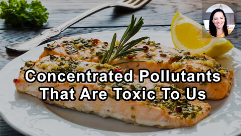 Eating Fish Is A Way To Get Concentrated Pollutants That Are Toxic To Our System - Julieanna Hever