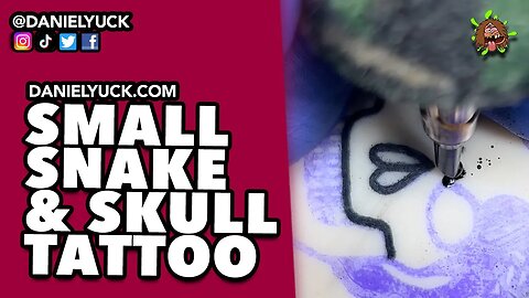 Small Snake And Skull Tattoo