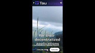 D3 Tauchain: A Paradigm for Collaborative Software Development and Decentralized Applications