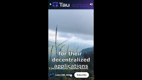 D3 Tauchain: A Paradigm for Collaborative Software Development and Decentralized Applications