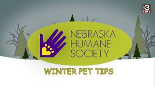 Nebraska Humane Society gives winter tips to keep your pets warm