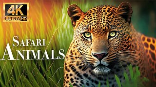 сафари животных 4k - Замечательный фильм о дикой природе с успокаивающей музыкой