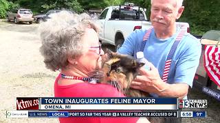 Town inaugurates feline mayor, a cat named Sweet Tart