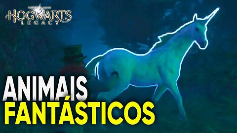 Localização dos animais em Hogwarts Legacy | Animais Fantásticos e onde Habitam