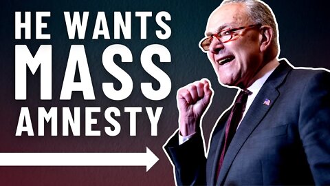 Chuck Schumer demands amnesty for 11,000,000 illegal immigrants
