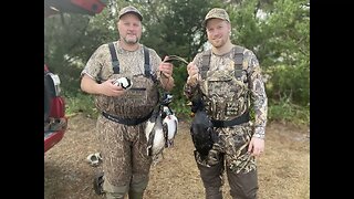 2 DAYS - ENDLESS BLUE-BILL's in Outer Banks NC. Captain Austin Guide Service