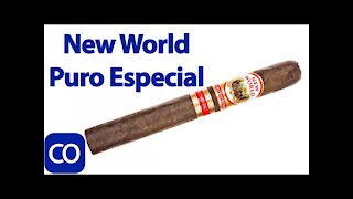 AJ Fernandez New World Puro Especial Toro Cigar Review