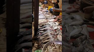 Fish Market Moosa Colony Bengali para Karachi #shorts #short #trending #fishing #viral #youtubeshort