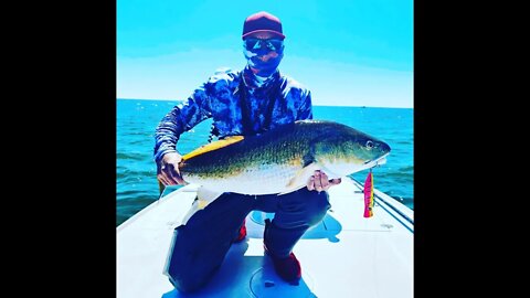 Roosta Smoking the Giant Bulls on Topwater!! #shorts #saltlife #fishing