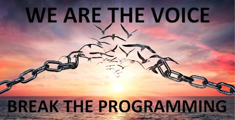 WE ARE THE VOICE - BREAK THE PROGRAMMING
